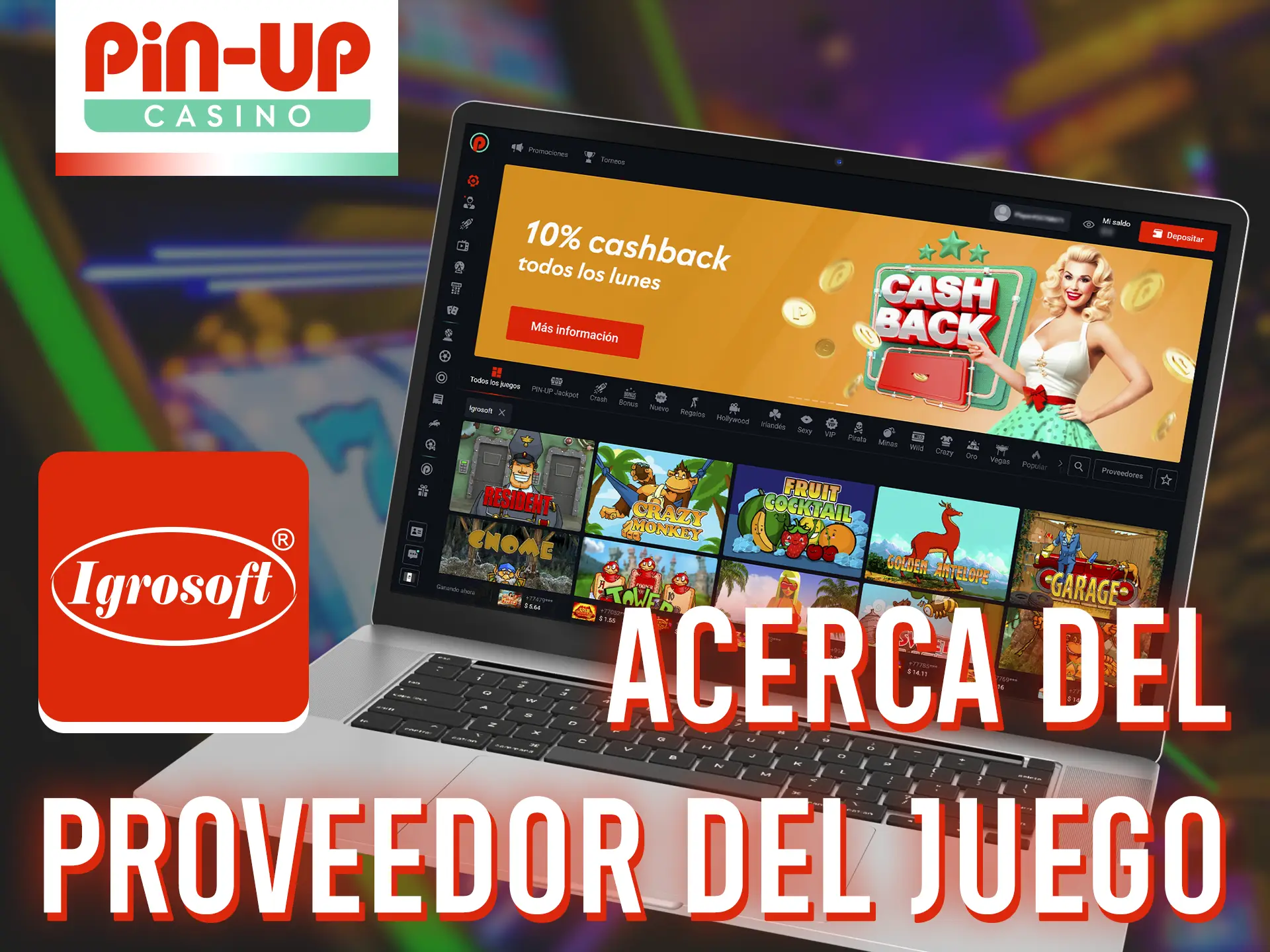 Información sobre el proveedor de la tragaperras Garage en Pin-Up Casino.